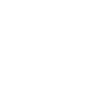 Basic coat and hygiene maintenance