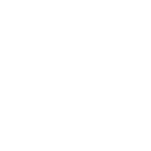 lungs icon